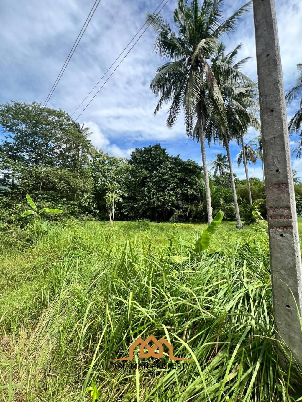 Lush 3200sqm Freehold Land in Maret Ko Samui