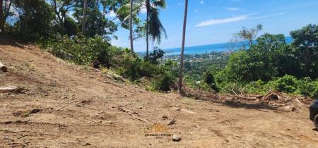 Scenic Freehold Land for Sale in Maret Ko Samui