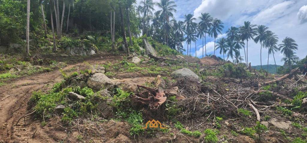 Scenic Freehold Land for Sale in Maret Ko Samui