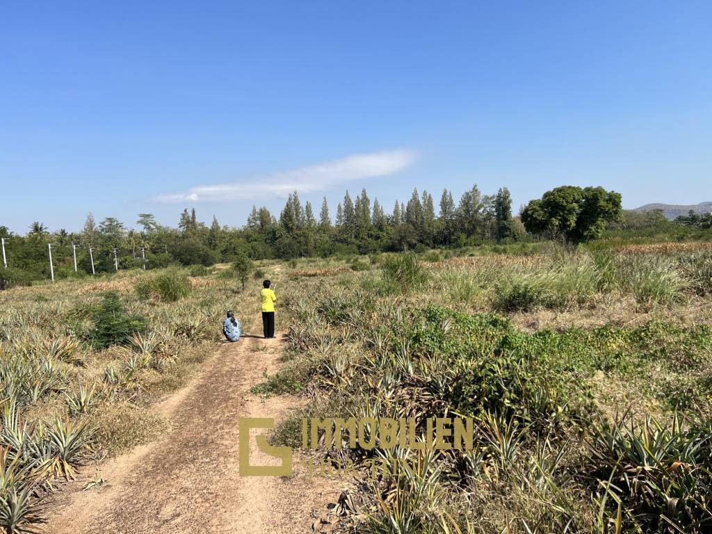 Hin Lek Fai: terrain de première classe de 19,82 rai (31.000 m²) près du By Pass