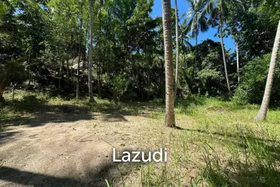 Beautiful Land for Sale in Peaceful Madeawan, Koh Phangan
