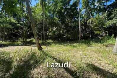 Beautiful Land for Sale in Peaceful Madeawan, Koh Phangan