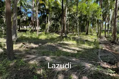 Prime Land for Sale in Wok Tum, Koh Phangan