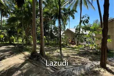 Prime Land for Sale in Wok Tum, Koh Phangan