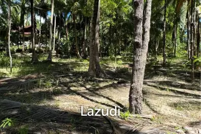 Prime Land for Sale in Wok Tum, Koh Phangan