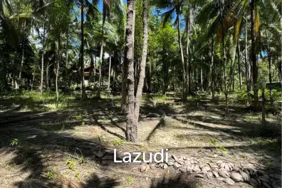 Prime Land for Sale in Wok Tum, Koh Phangan