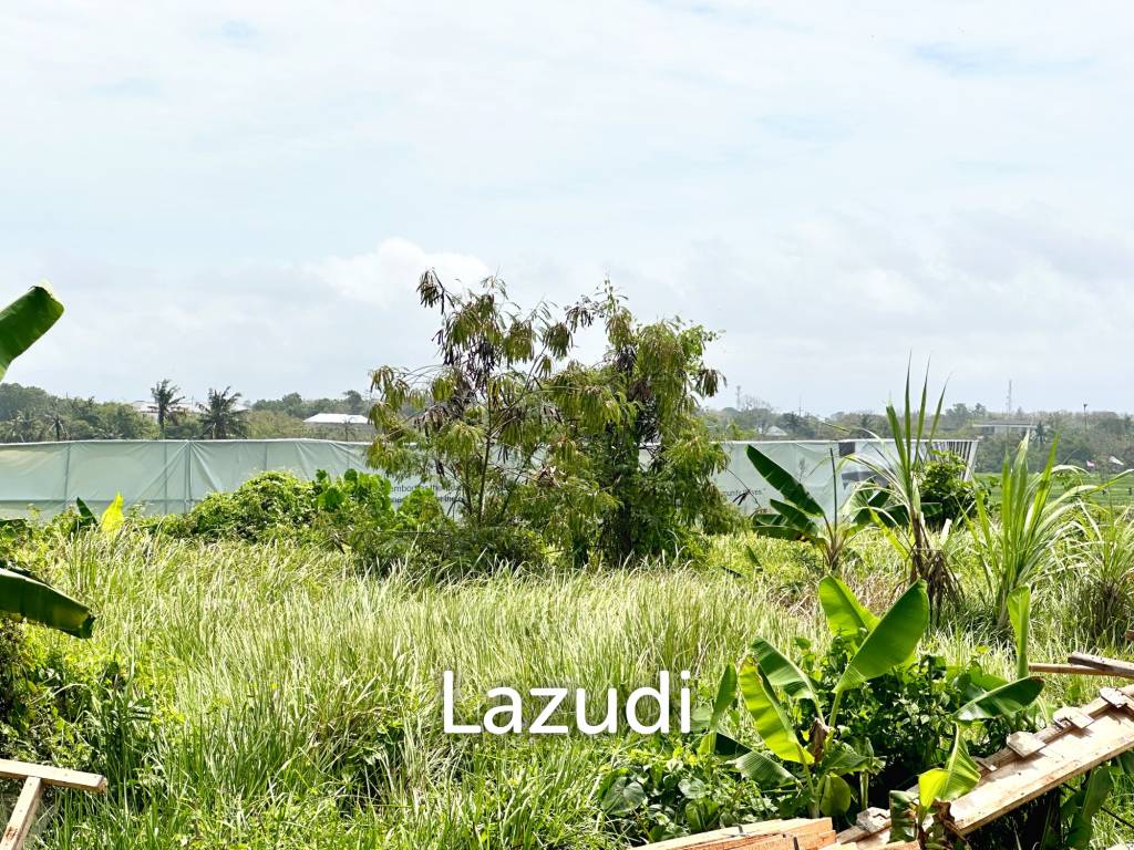SPACIOUS LAND OPPORTUNITY IN CEMAGI, MENGWI