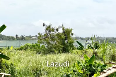 SPACIOUS LAND OPPORTUNITY IN CEMAGI, MENGWI