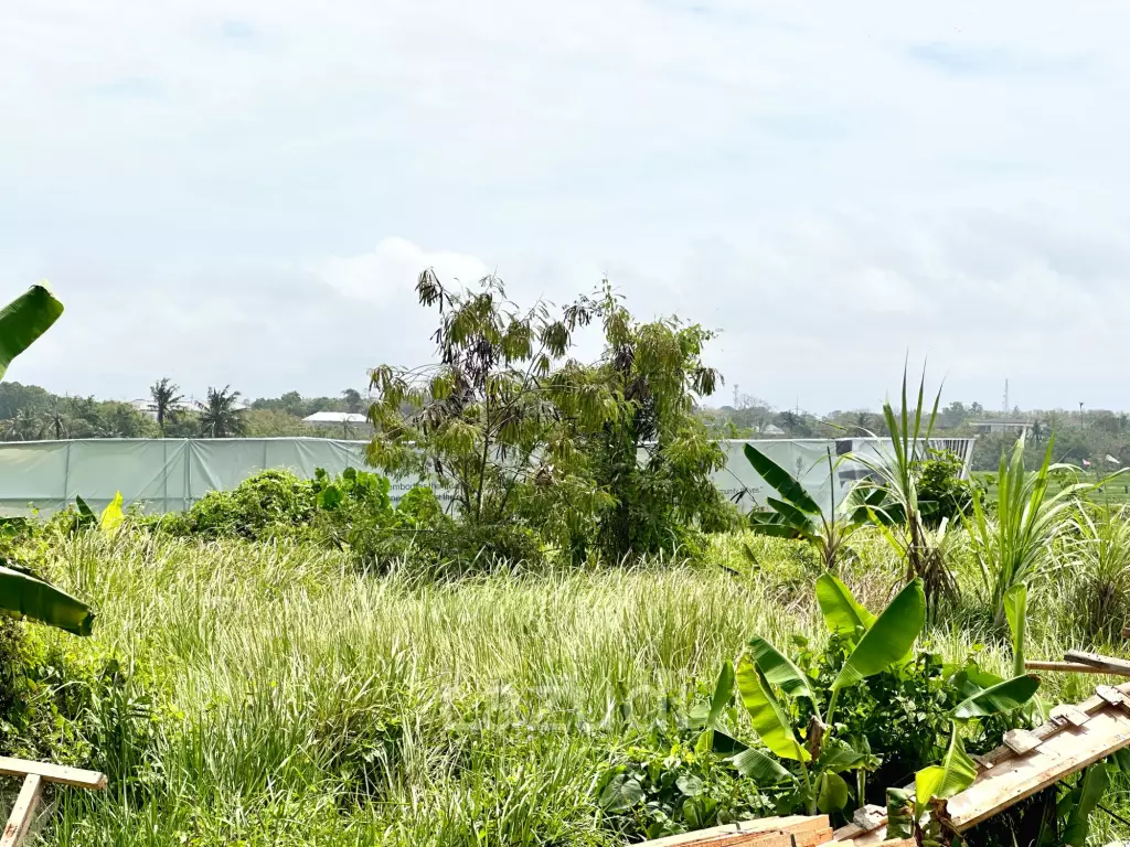 SPACIOUS LAND OPPORTUNITY IN CEMAGI, MENGWI