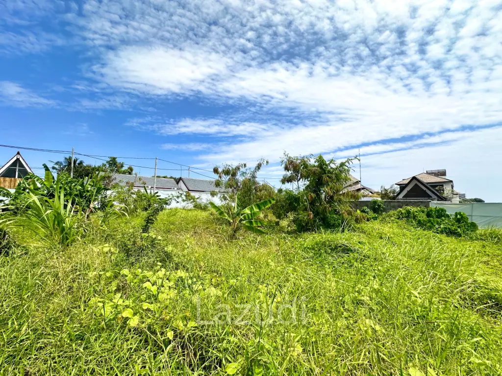 SPACIOUS LAND OPPORTUNITY IN CEMAGI, MENGWI