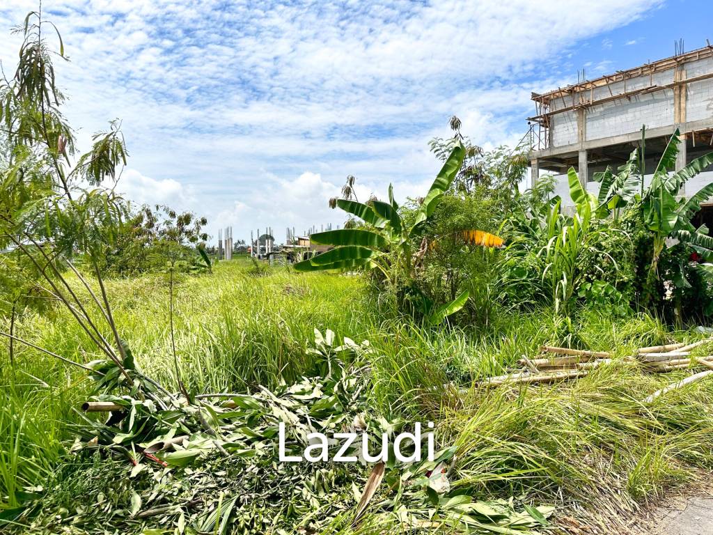 SPACIOUS LAND OPPORTUNITY IN CEMAGI, MENGWI