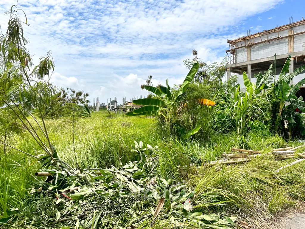 SPACIOUS LAND OPPORTUNITY IN CEMAGI, MENGWI
