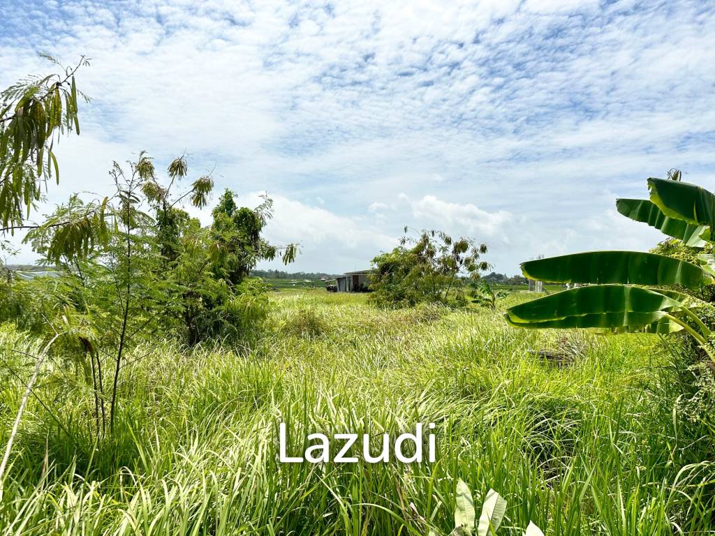 SPACIOUS LAND OPPORTUNITY IN CEMAGI, MENGWI