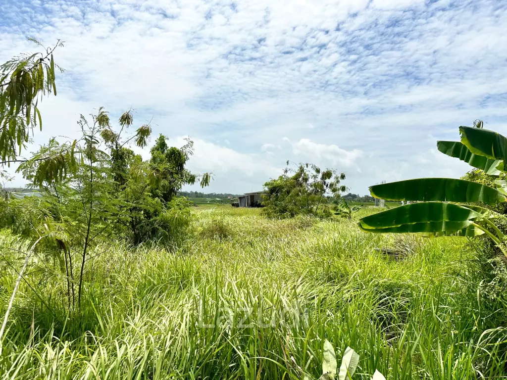 SPACIOUS LAND OPPORTUNITY IN CEMAGI, MENGWI