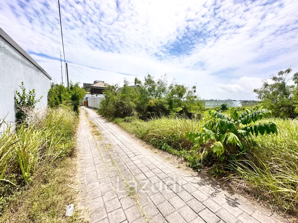 SPACIOUS LAND OPPORTUNITY IN CEMAGI, MENGWI