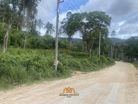 1100sqm of Affordable Freehold Land in Scenic Lamai