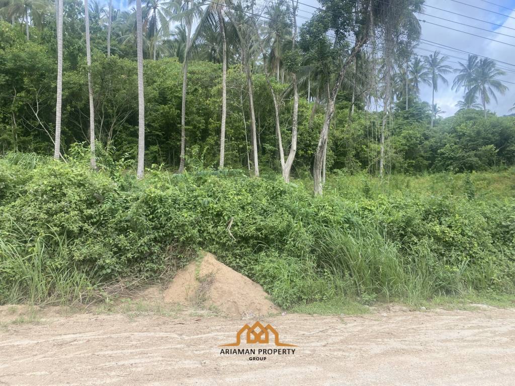 1100sqm of Affordable Freehold Land in Scenic Lamai