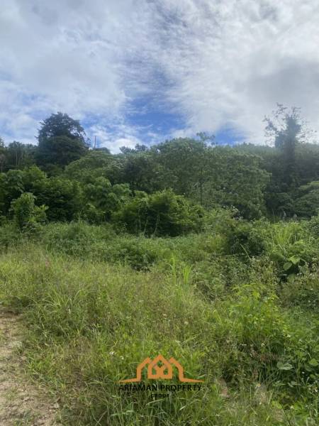 3 Rai of Freehold Land in Lamai, Ko Samui