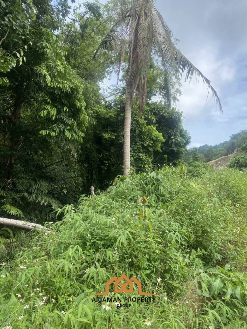 3 Rai of Freehold Land in Lamai, Ko Samui