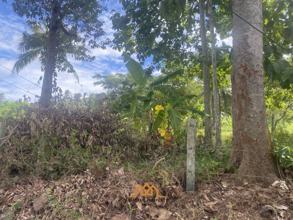 1 Rai near to Windfield and LIS Freehold Land in Lamai