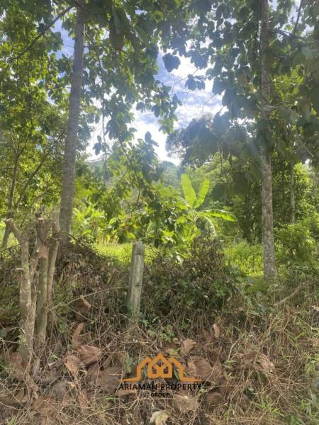 1 Rai near to Windfield and LIS Freehold Land in Lamai