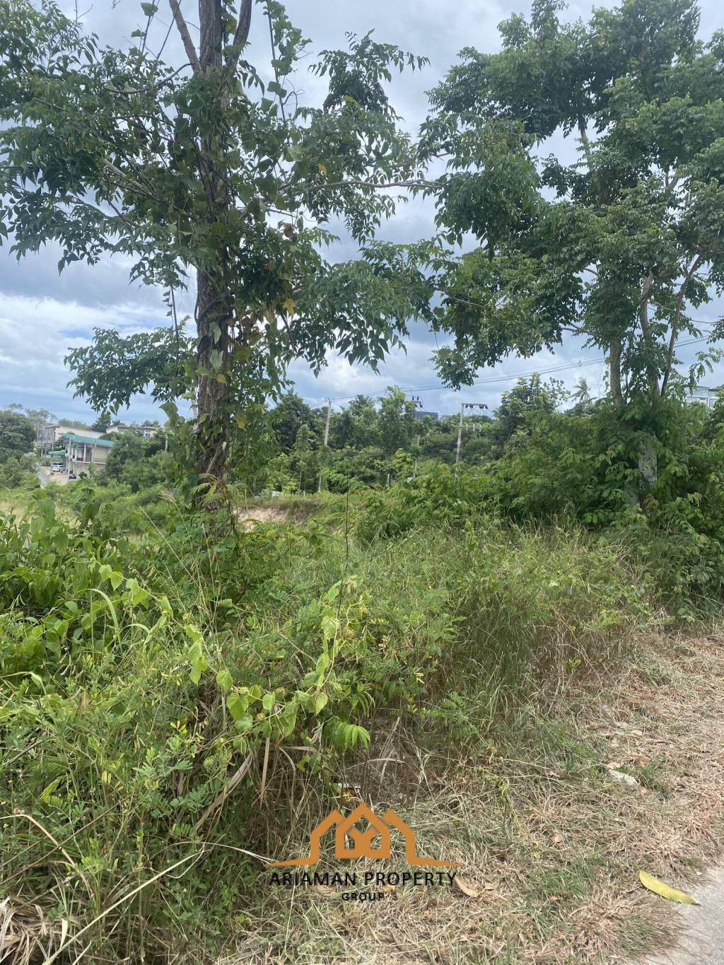 20 Rai Prime Freehold Land for Sale in Plai Laem