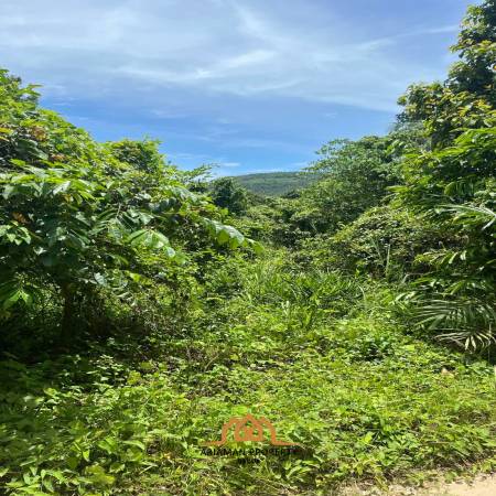 5 Rai of Premium Freehold Land for Sale in Taling Ngam Ko Samui