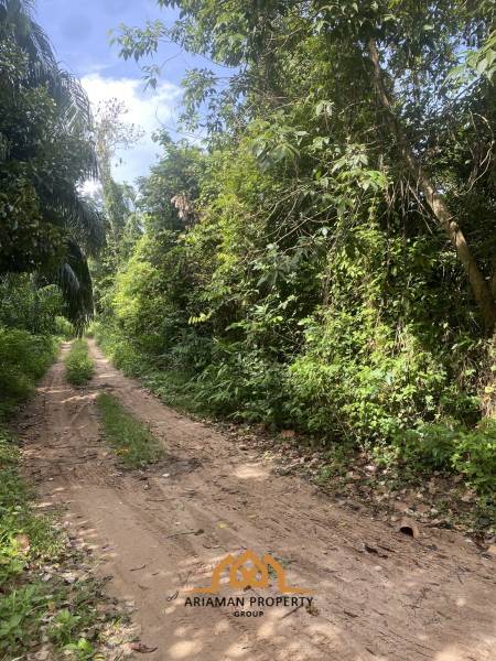 5 Rai of Premium Freehold Land for Sale in Taling Ngam Ko Samui