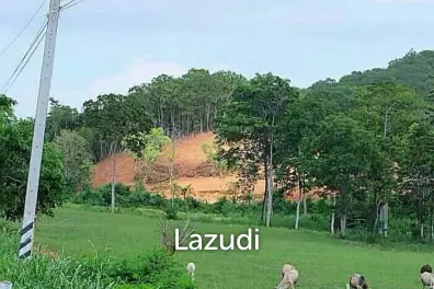 6 Rai 1 Ngan 9 SQ.W. (10,036 SQ.M) Land in Silver Lake