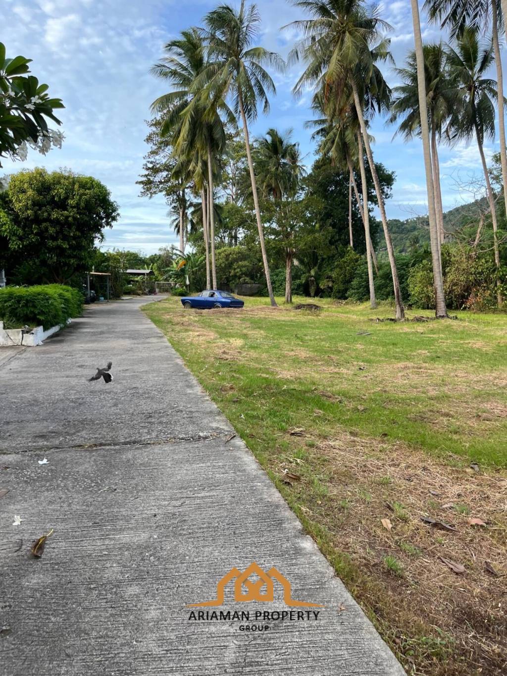 Prime Spacious Freehold Land in Lamai Ko Samui Surat Thani