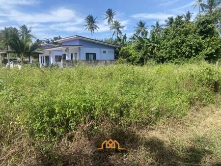 Affordable 200sqm Freehold Land with Tropical Setting Taling Ngam