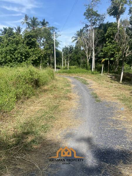 Affordable 200sqm Freehold Land with Tropical Setting Taling Ngam