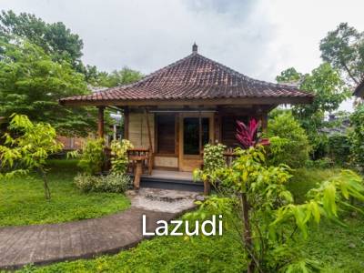 Idyllic 4 Villas & 4 Bungalows for Nature Isolation: A Retreat Center Freehold Property Close to Beach in Karangasem, Bali