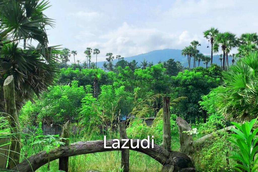 Idyllic 4 Villas & 4 Bungalows for Nature Isolation: A Retreat Center Freehold Property Close to Beach in Karangasem, Bali