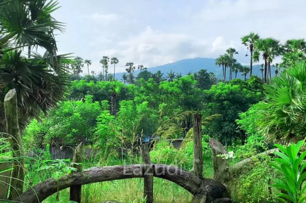 Idyllic 4 Villas & 4 Bungalows for Nature Isolation: A Retreat Center Freehold Property Close to Beach in Karangasem, Bali
