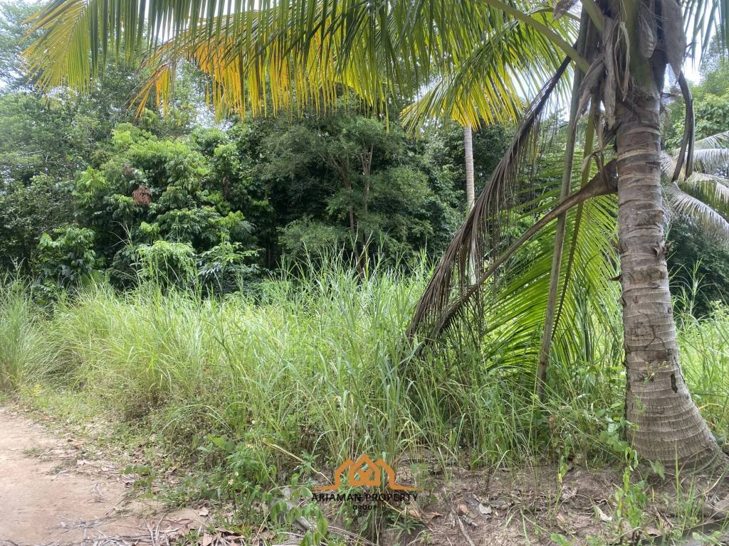 3 Rai of Freehold Land with Lush Greenery in Lamai.