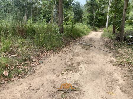 3 Rai of Freehold Land with Lush Greenery in Lamai.