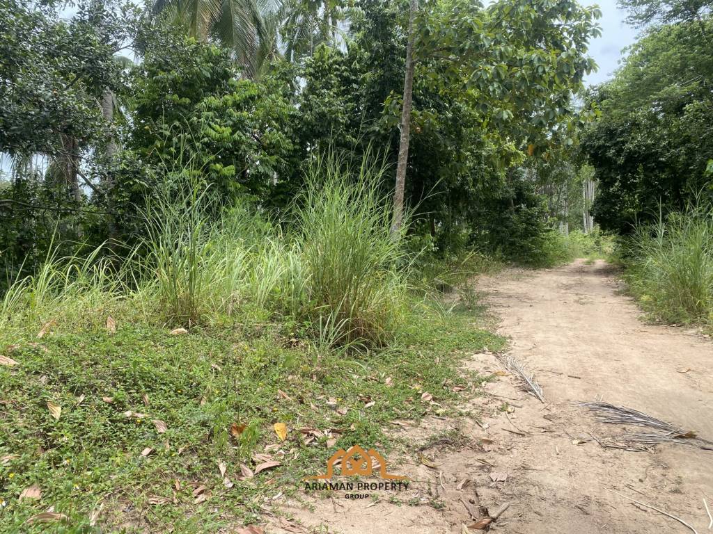 3 Rai of Freehold Land with Lush Greenery in Lamai.