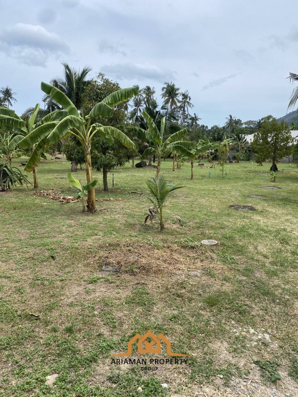 4 Rai of Land for Sale with Scenic Views in Lamai, Ko Samui