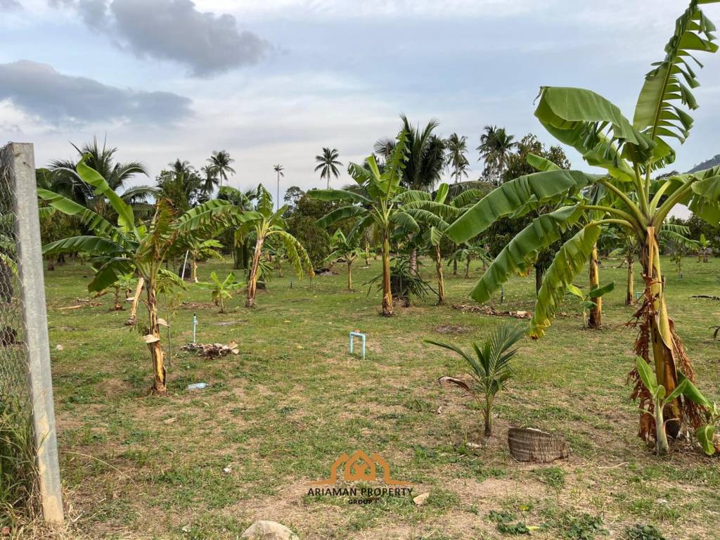 4 Rai of Land for Sale with Scenic Views in Lamai, Ko Samui