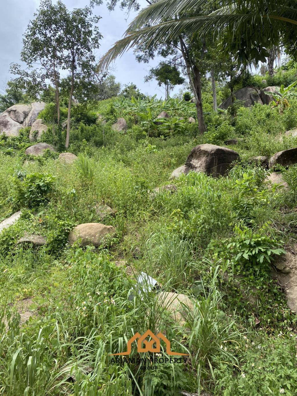 9 Rai of Prime Freehold Land in Lamai Koh Samui