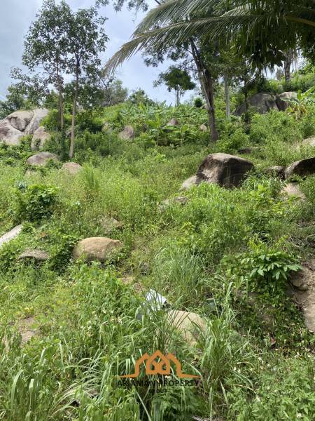 9 Rai of Prime Freehold Land in Lamai Koh Samui