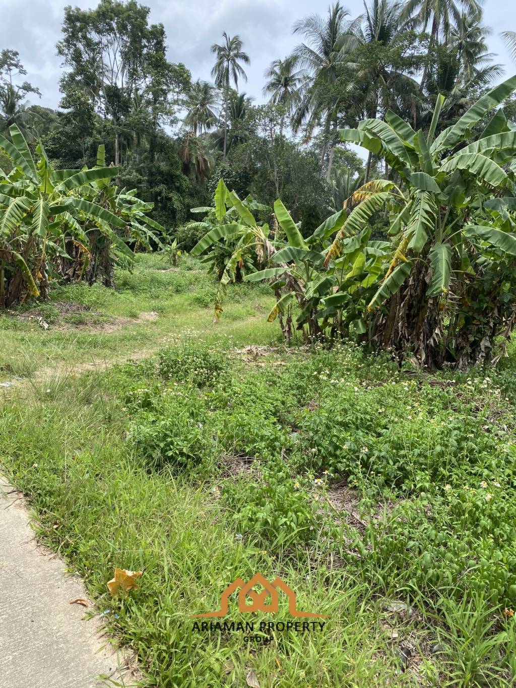 Development Opportunity: 2 Rai Of Freehold Land in Lamai Ko Samui