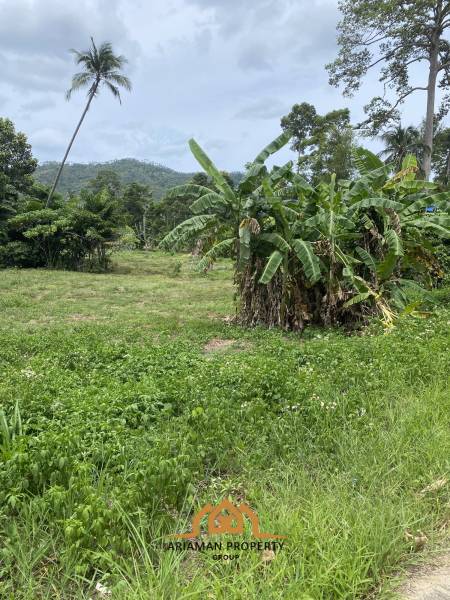 Development Opportunity: 2 Rai Of Freehold Land in Lamai Ko Samui