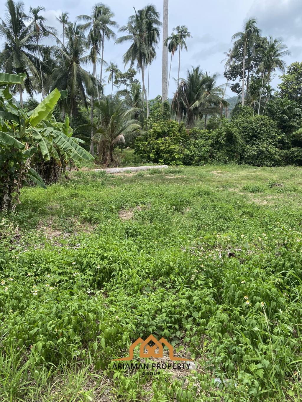 Development Opportunity: 2 Rai Of Freehold Land in Lamai Ko Samui