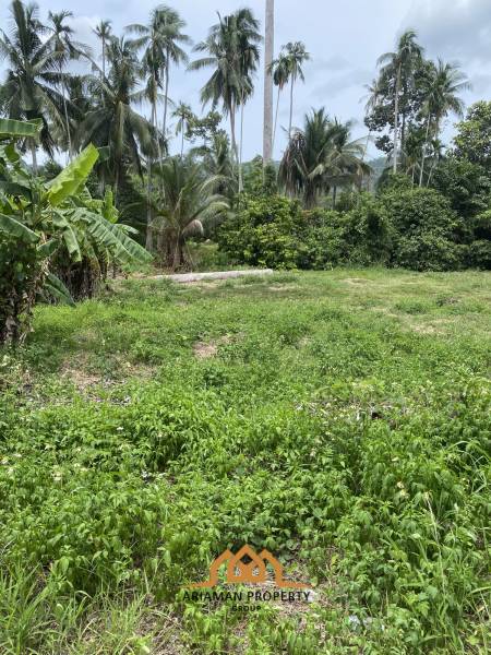 Development Opportunity: 2 Rai Of Freehold Land in Lamai Ko Samui