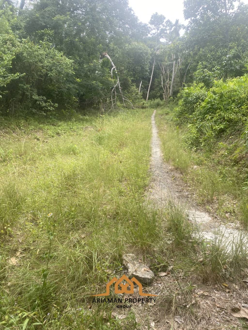 11 rai of Premium Land for Sale in Maret Koh Samui