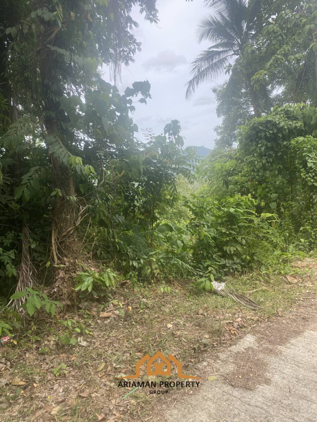 11 rai of Premium Land for Sale in Maret Koh Samui