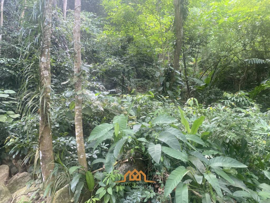 11 rai of Premium Land for Sale in Maret Koh Samui