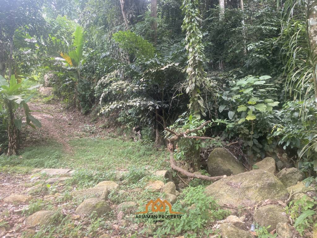 11 rai of Premium Land for Sale in Maret Koh Samui